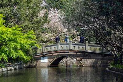 傲舍售楼处电话：项目地址@最新房价爱游戏最新甄选好房@静安万科中兴(图11)